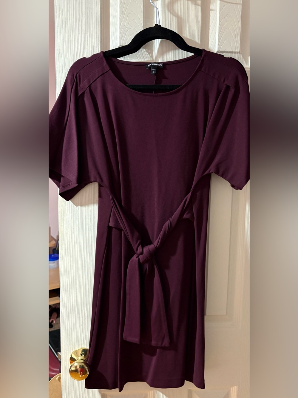 Express Plum Tie-Waist Mini Dress
